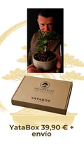 YataBox – Kit de iniciación al Bonsái