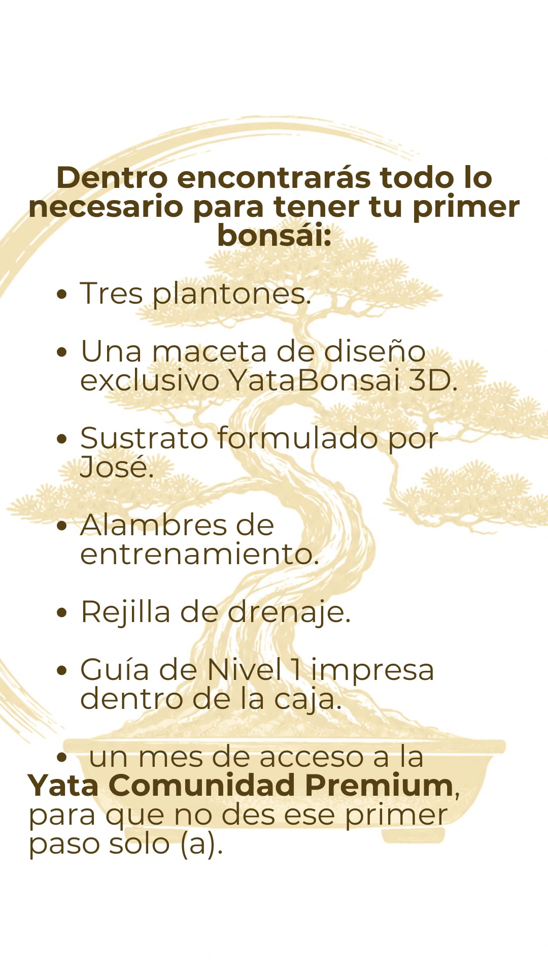 YataBox – Kit de iniciación al Bonsái