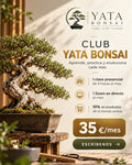 Club YataBonsai – Formación mensual de bonsái