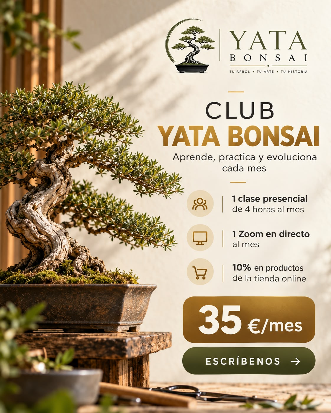 Club YataBonsai – Formación mensual de bonsái