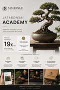 YataBonsai Academy, comunidad online para aprender bonsái con clases en directo y acompañamiento.